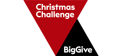 Big Give: Christmas Challenge logo 