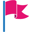 Race flag