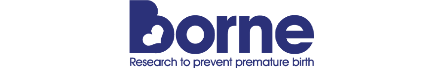 Borne purple text logo