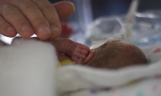 Premature baby in an incubator