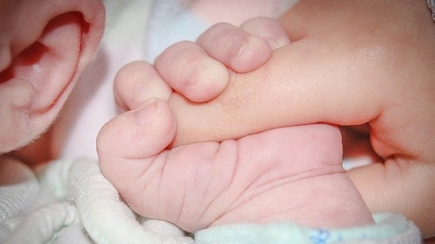 Babies hand grasping an adult finger