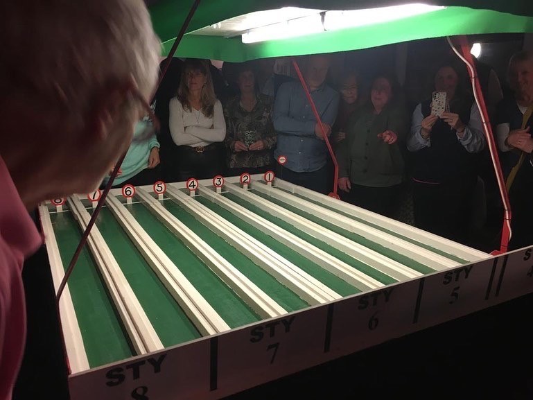 Tiverton Pig Racing Night