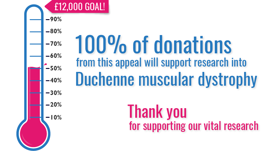 Totalizer showing 50%