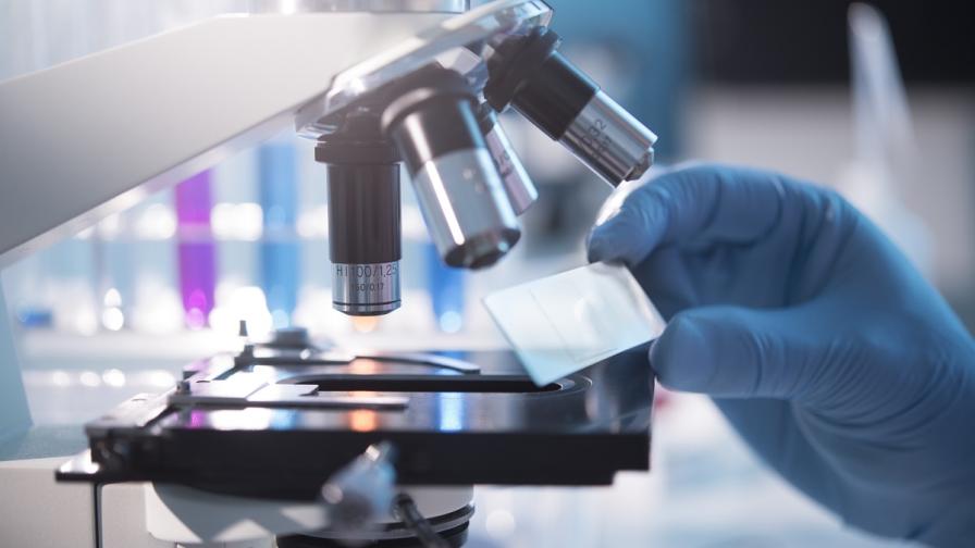 Close up of a blue-gloved hand holding a glass slide under a microscope.