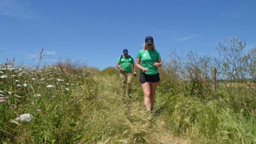 Participants walking along the coast