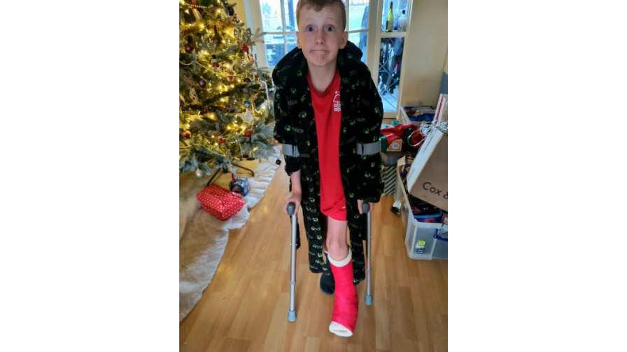 image of Oscar in his living room