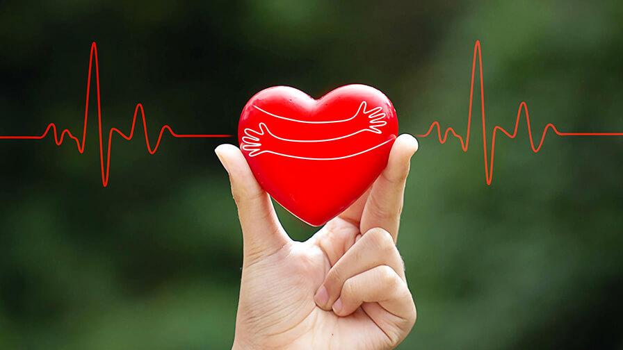 A hand holds a red heart with hugging arms drawn on it, set against a green background with a heartbeat line design.