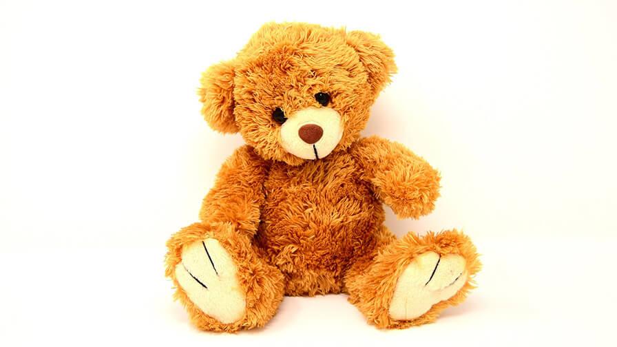 A golden coloured teddy bear why short curly fur sitting along against a white wall