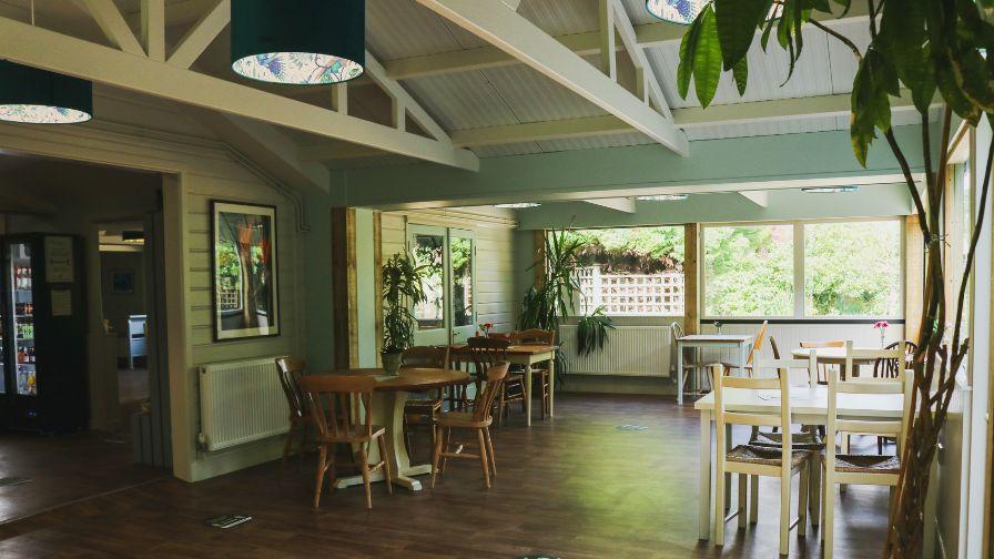 A bright, airy cafe interior with wooden tables, white beams, potted plants, and large windows facing a garden.