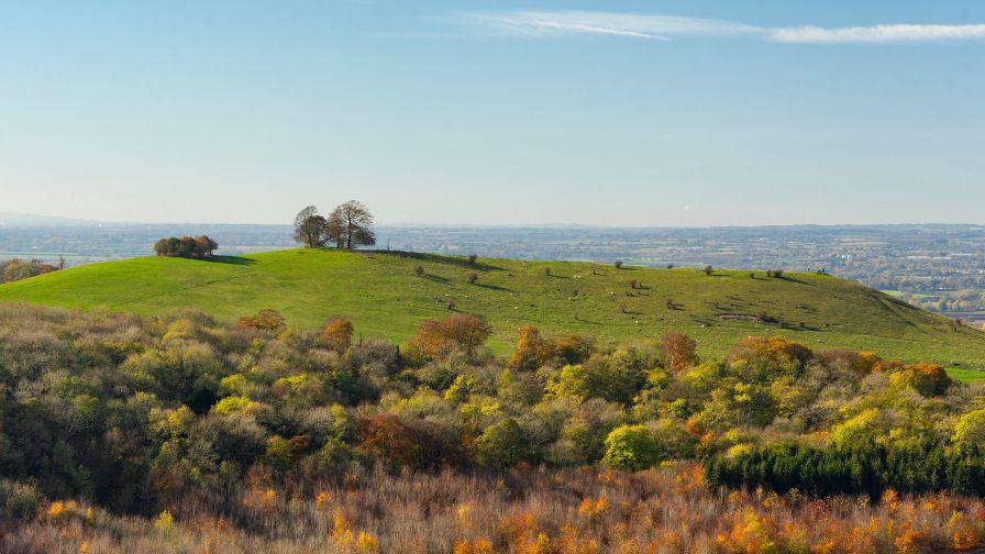 A rolling green hill with small clusters of trees on its crest, rising above a dense forest showing autumn colors under a clear blue sky.