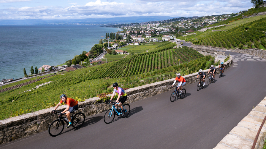 A line of cyclists riding on a road that is clear of cars, through a scenery of vineyards with the sea visible behind them