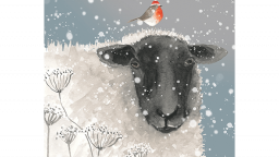 Sheep and Robin card front