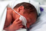Small baby in an incubator with a breathing tube in their nose
