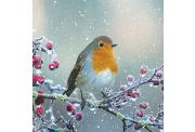A festive image of a robin perched on a snow-dusted berry branch, capturing the wintery Christmas spirit.