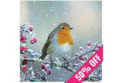 A festive image of a robin perched on a snow-dusted berry branch, capturing the wintery Christmas spirit. A 50% off ribbon crosses a corner