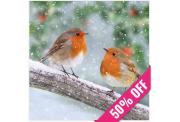 Two robins with red breasts perch on a snowy branch as gentle snow falls, with a festive, blurred background of holly and berries. A 50% off ribbon crosses a corner