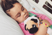 Lilly-May, post brain surgery, sleeping peacefully in a hospital bed holding a stuffed pug toy.