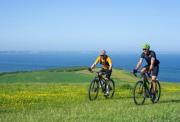 Two male cyclists riding mountain bikes across a grassy, flower-filled hill overlooking a vast blue sea under a clear sky.