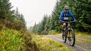 cyclists riding through grizedale forest