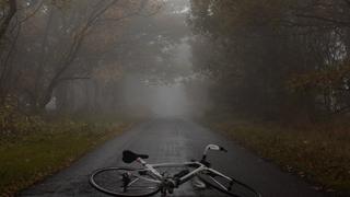 bicycle lying on floor of misty tree lined road