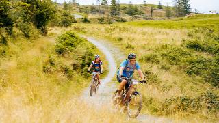 Two mountain bike riders cycling through a wild field