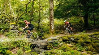 Two cyclists ride across a dirty track in a thick forrest