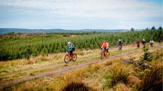 A group of riders on the trail