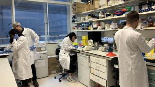 A group of researchers in the lab