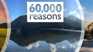 60,000 Reasons